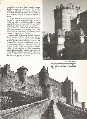 LAMINA 19513: Castillo de Coca y fortaleza de Carcasona