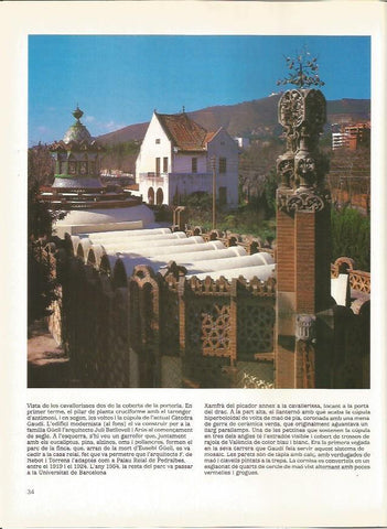 LAMINA 18920: Jardin de la Finca Guell