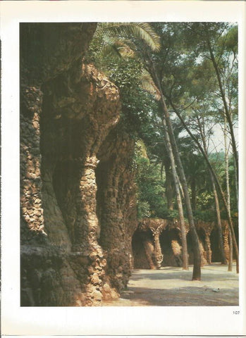 LAMINA 18956: Interior del Parque Guell