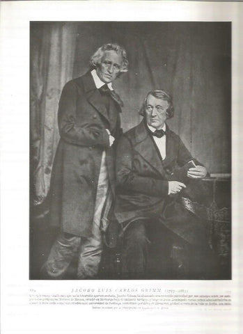 LAMINA 19208: Jacobo Luis Carlos Grimm