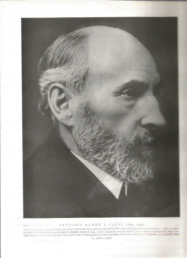 LAMINA 19251: Santiago Ramon y Cajal