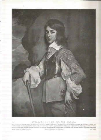 LAMINA 19118: Guillermo II de Orange