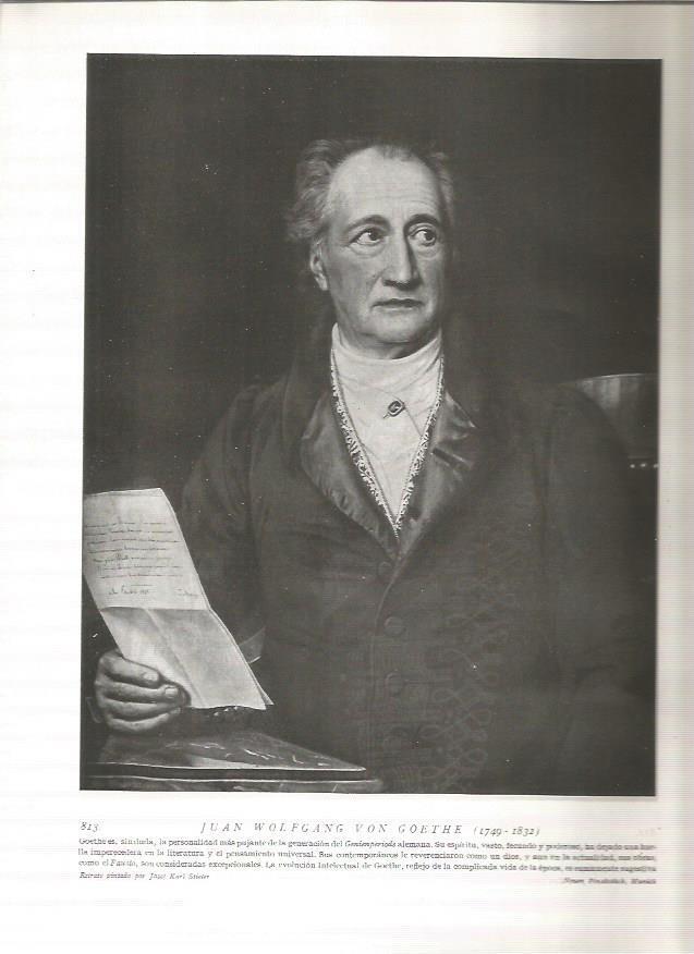 LAMINA 19175: Goethe