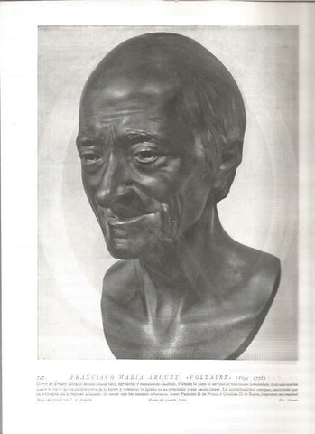 LAMINA 19136: Voltaire