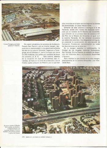 LAMINA 20303: Colonia Torregrosa