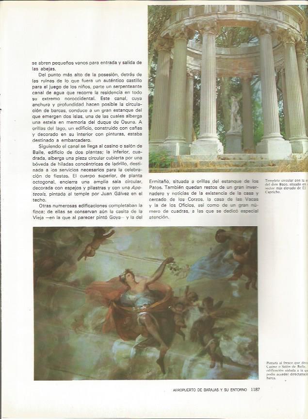 LAMINA 20212: Templete y pintura del Salon de Baile de El Capricho