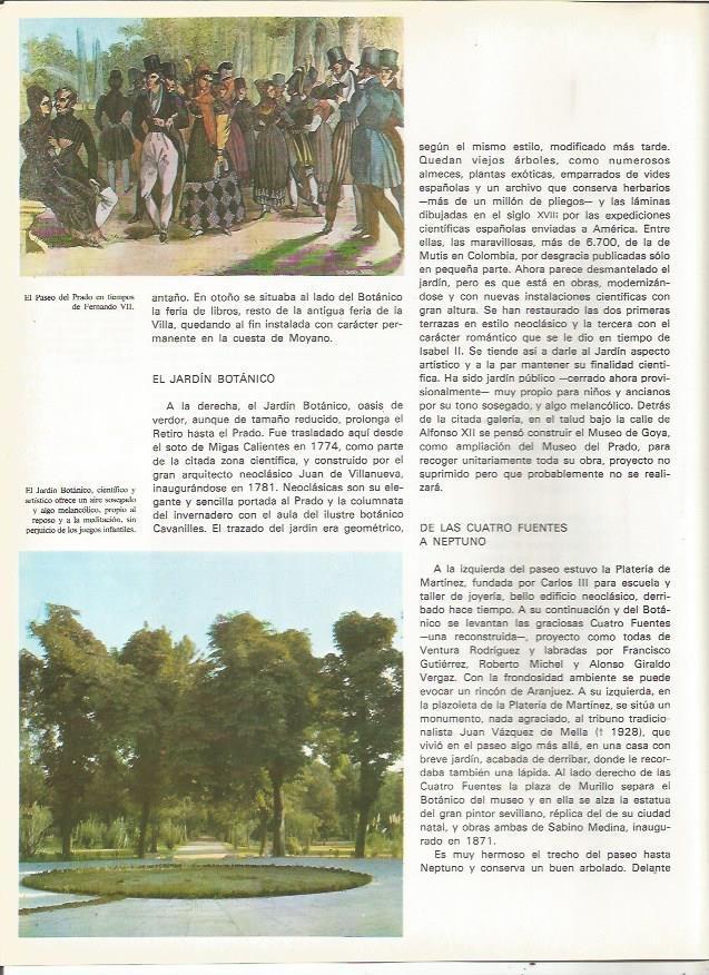 LAMINA 20081: Jardin Botanico de Madrid