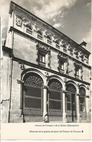LAMINA 20534: Palacio de la Fonseca o de la Salina