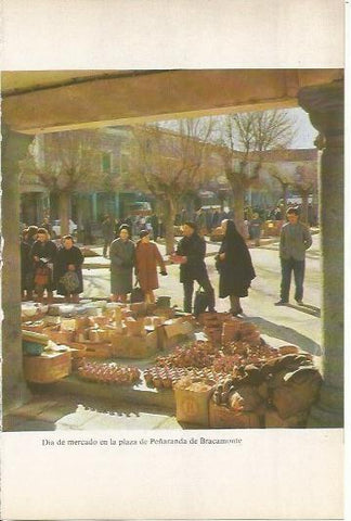 LAMINA 20550: Dia de mercado en la plaza de Peñaranda de Bracamonte