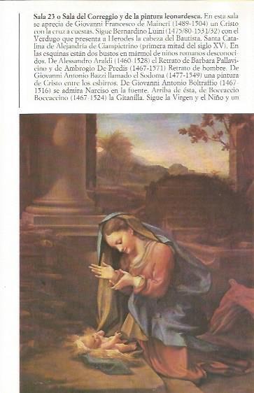 LAMINA 20460: Nacimiento