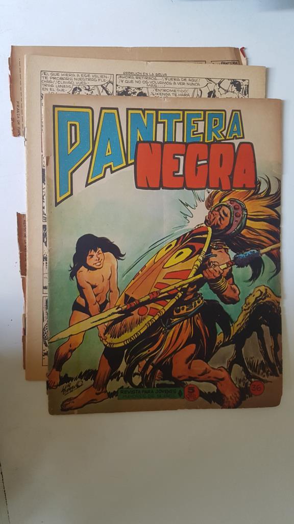 Pantera Negra revista numero 36 (cubierta suelta, aviejado)