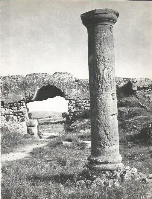 LAMINA 20680: Ruinas de Empuries