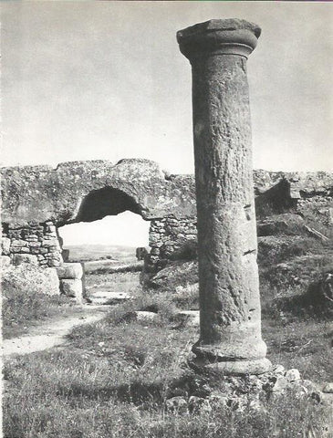 LAMINA 20680: Ruinas de Empuries