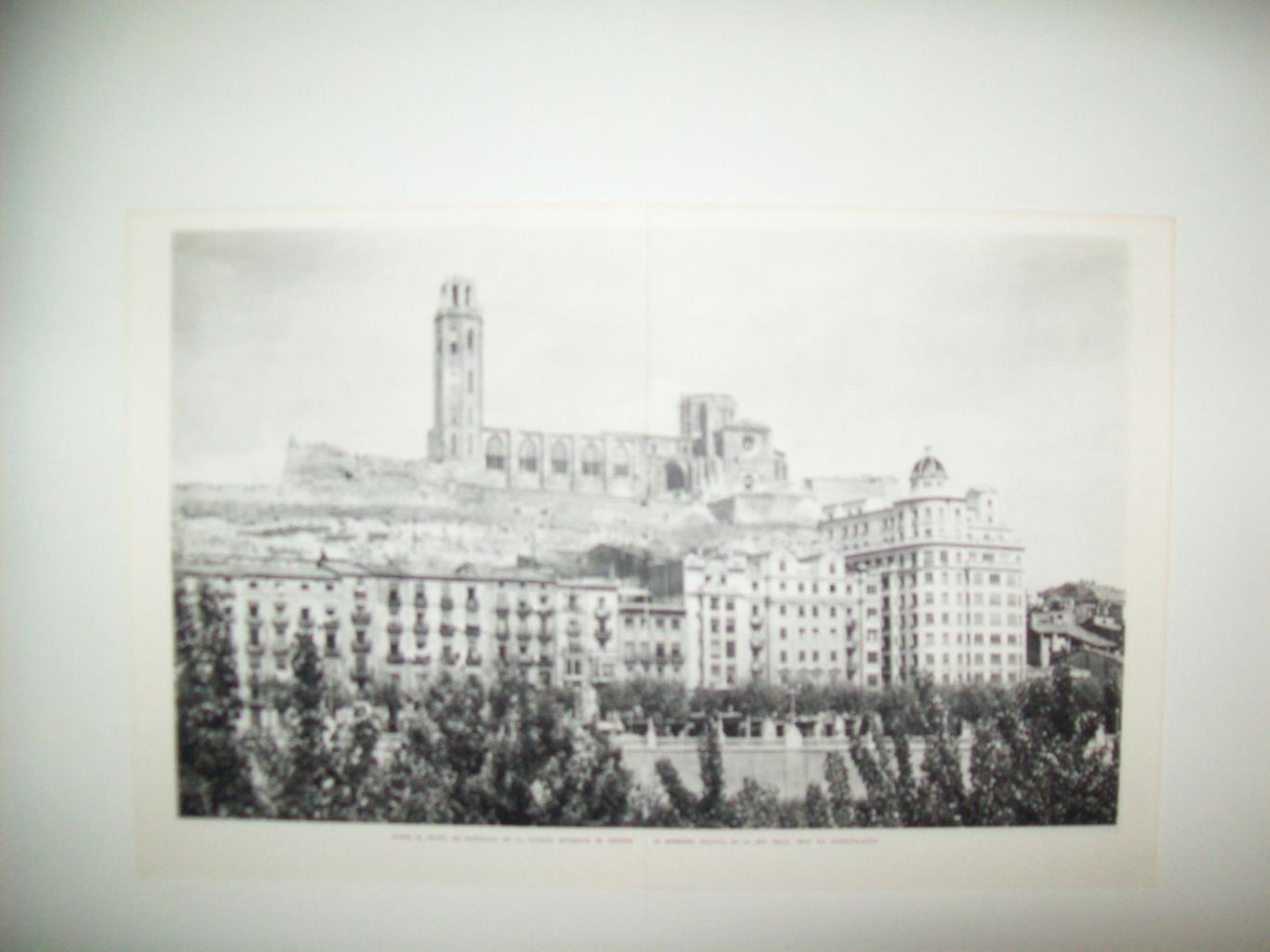 LAMINA 21689: Catedral de Lleida