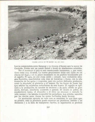 LAMINA 21694: Mujeres lavando en el rio Cinca