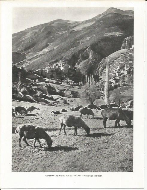 LAMINA 21662: Castellar de N'Hug