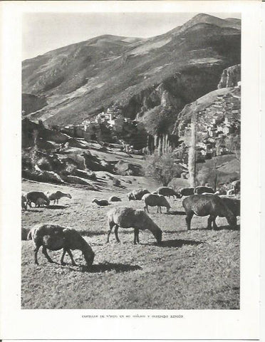 LAMINA 21662: Castellar de N'Hug