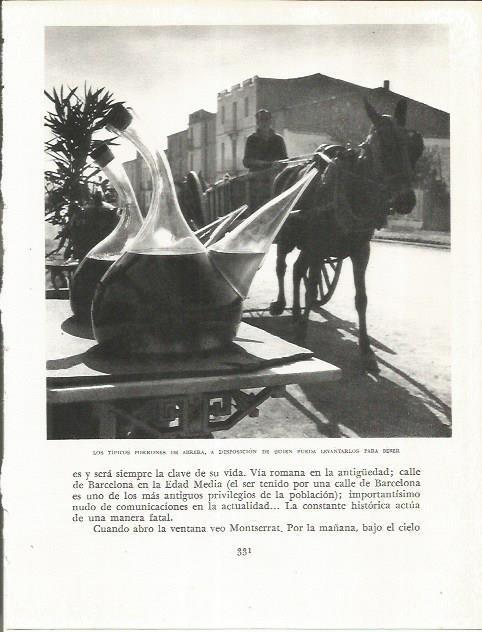 LAMINA 21670: Porrones de Abrera