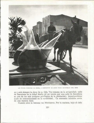 LAMINA 21670: Porrones de Abrera