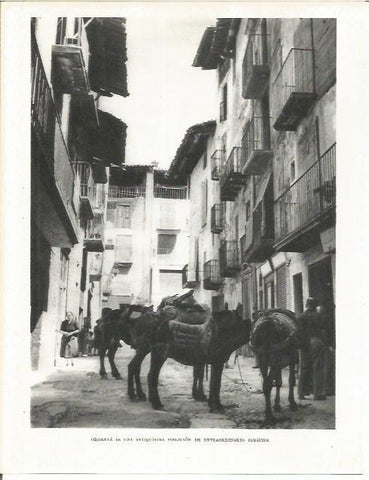 LAMINA 21682: Organya