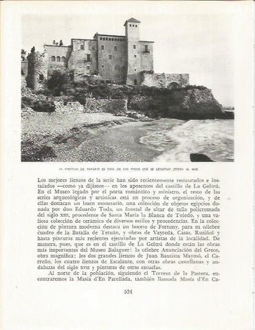 LAMINA 21750: Castillo de Tamarit