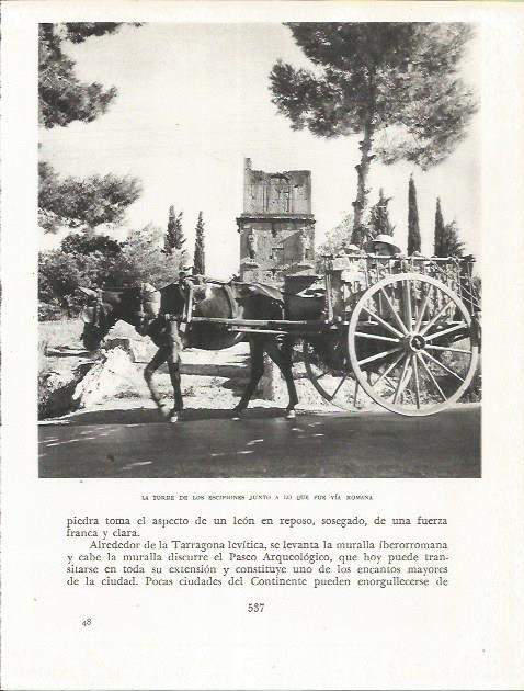 LAMINA 21752: Torre de los Escipiones en Tarragona