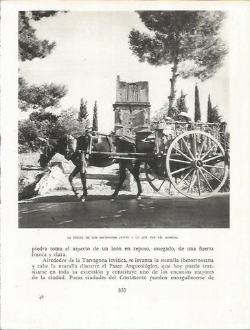 LAMINA 21752: Torre de los Escipiones en Tarragona
