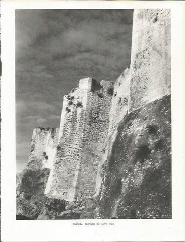 LAMINA 21759: Castillo de Sant Joan en Tortosa