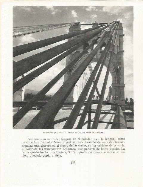 LAMINA 21763: Puente en Amposta