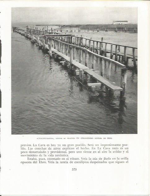 LAMINA 21765: L'Encanyissada en el Delta del Ebro