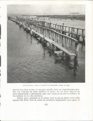 LAMINA 21765: L'Encanyissada en el Delta del Ebro
