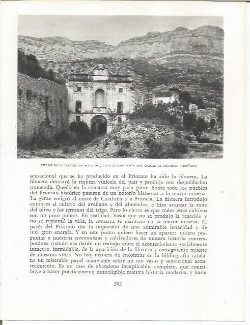 LAMINA 21738: Ruinas de la Cartuja de Scala Dei