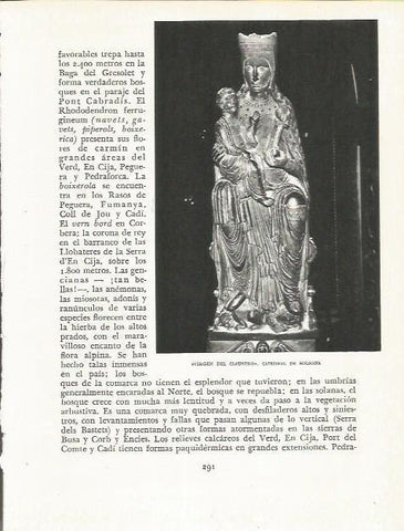 LAMINA 21656: Virgen del Claustro de Solsona