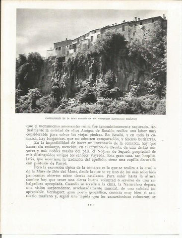 LAMINA 21588: Castellfollit de la Roca