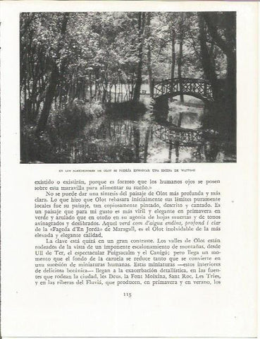 LAMINA 21591: Alrededores de Olot