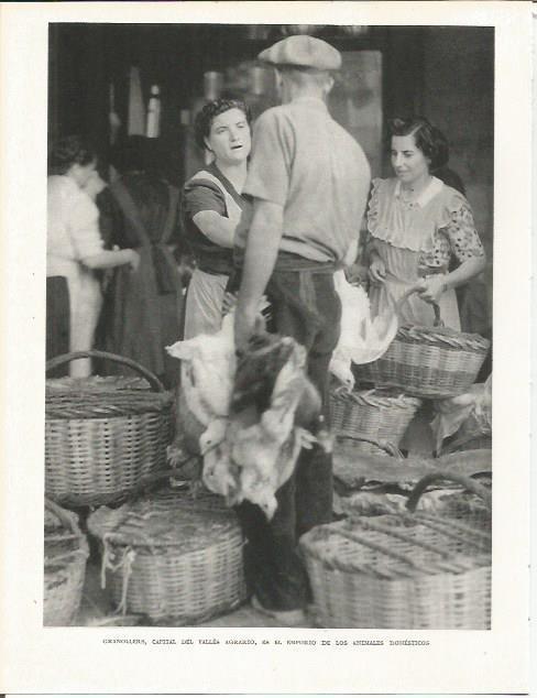 LAMINA 21592: Mercado de animales de Granollers