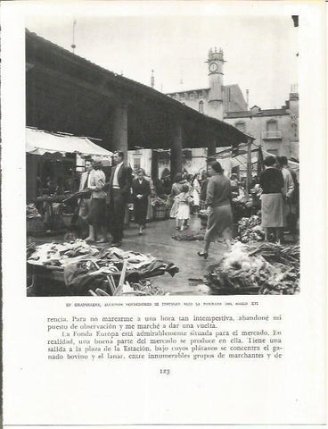 LAMINA 21593: Mercado en Granollers