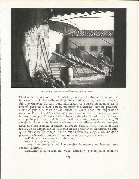 LAMINA 21594: Alfareria en Breda