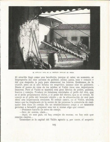 LAMINA 21594: Alfareria en Breda
