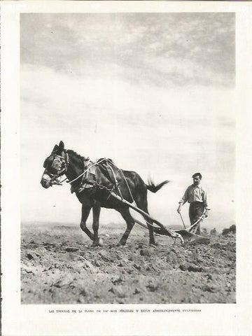 LAMINA 21596: Agricultor en Vic