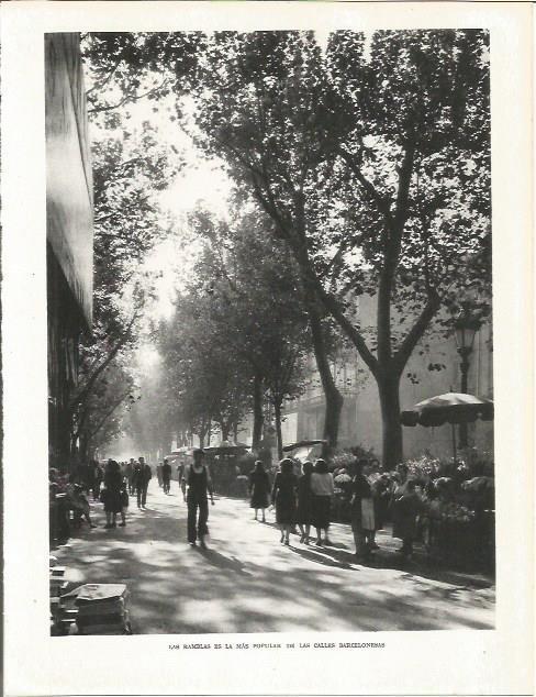 LAMINA 21547: Las Ramblas de Barcelona