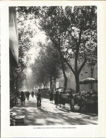 LAMINA 21547: Las Ramblas de Barcelona