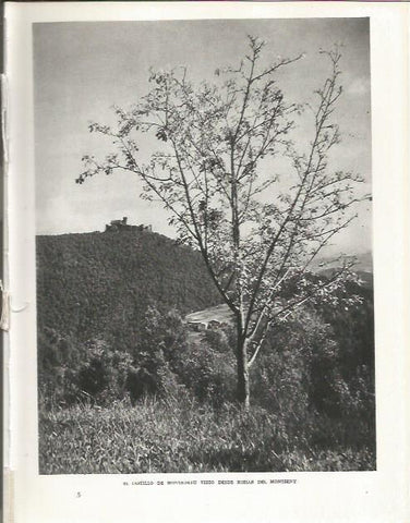 LAMINA 21559: Castillo de Montsoriu