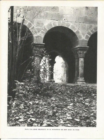 LAMINA 21649: Monasterio de Sant Benet de Bages