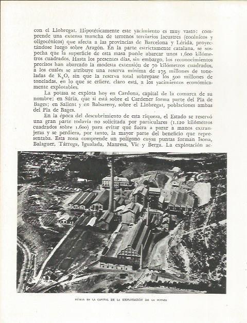 LAMINA 21650: Explotacion de la Potaña en Suria