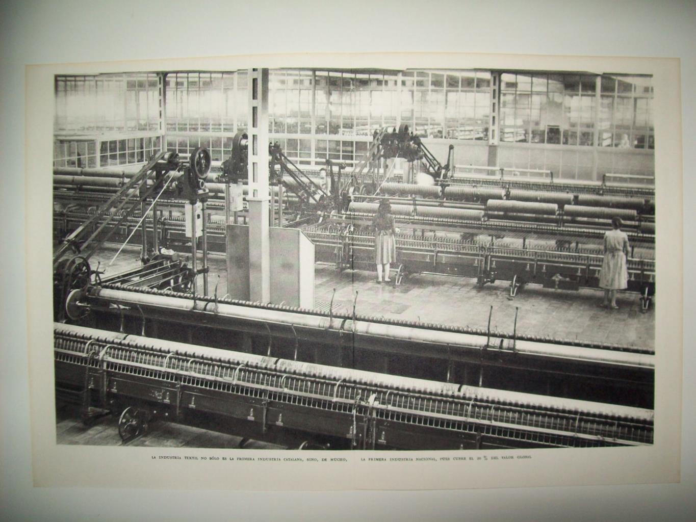 LAMINA 21630: Industria textil de Sabadell y Terrassa
