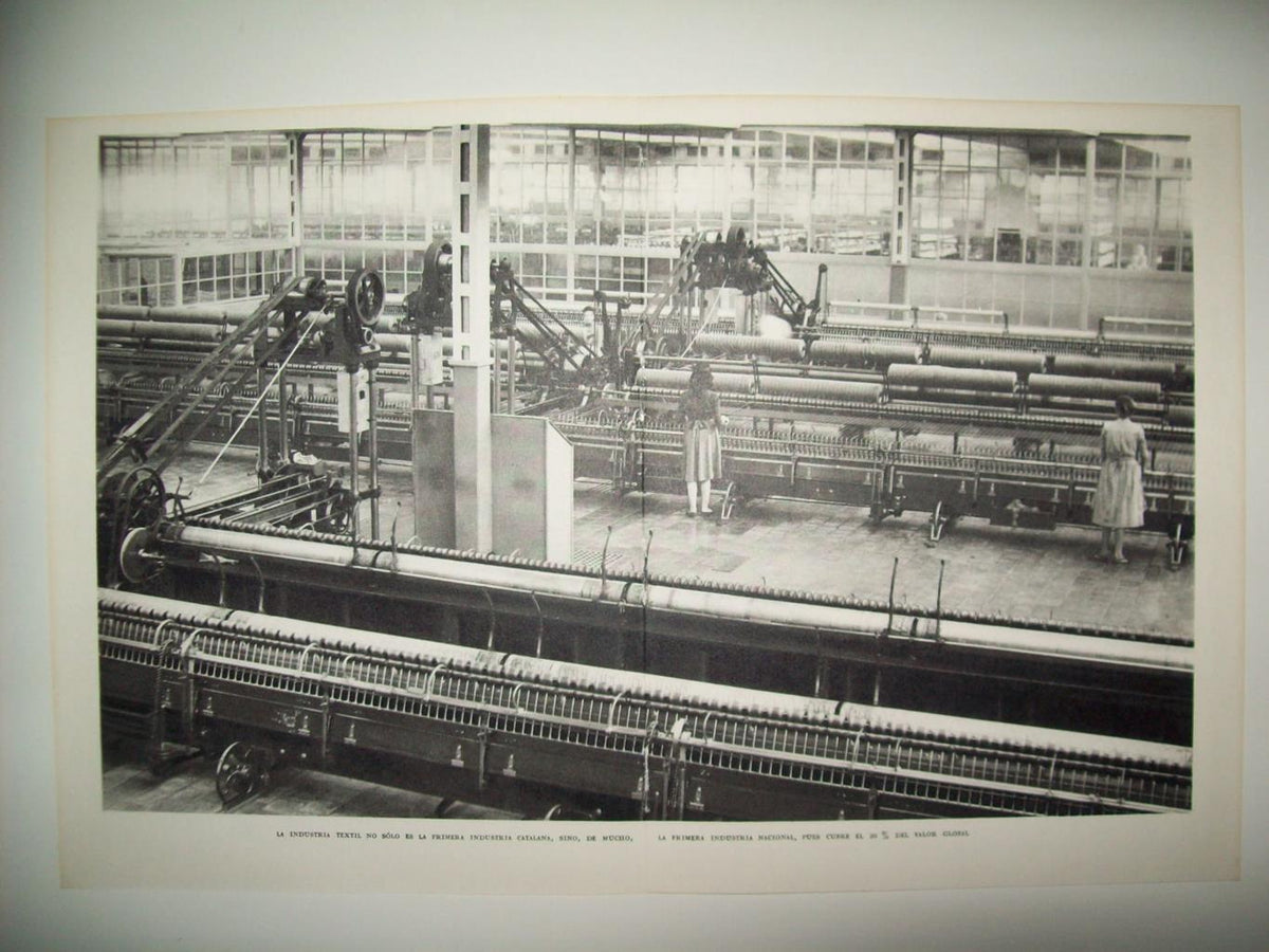 LAMINA 21630: Industria textil de Sabadell y Terrassa
