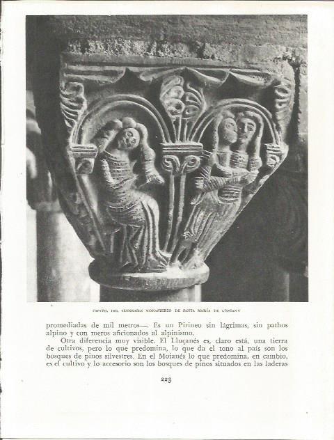 LAMINA 21628: Capitel del Monasterio de Santa Maria de l'Estany