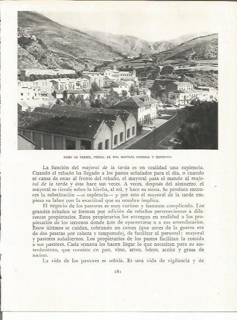 LAMINA 21616: Ribes de Freser