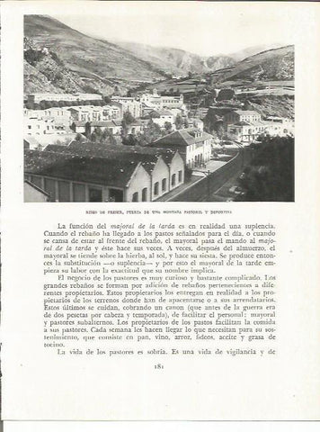 LAMINA 21616: Ribes de Freser